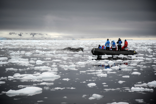 IMG_2009-03-10_Antarctica Marathon_500x333_016_DSC_1665