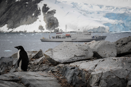 IMG_2009-03-10_Antarctica Marathon_500x333_022_DSC_2633