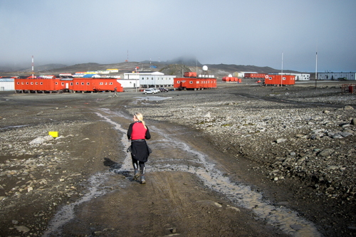 IMG_2009-03-10_Antarctica Marathon_500x333_042_IMG_4757