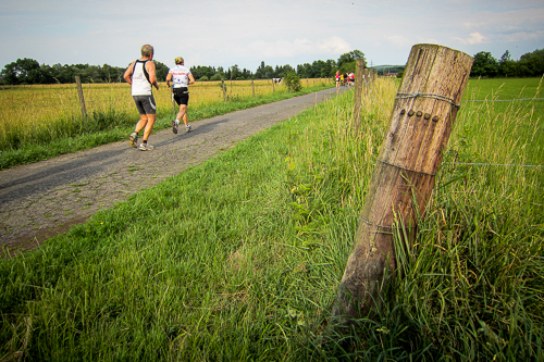 IMG_2011-06-12_Brüder Grimm Lauf 2011_500x333x_016_IMG_1075