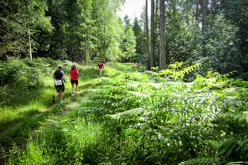 IMG_2011-06-12_Brüder Grimm Lauf 2011_500x333x_020_IMG_1185