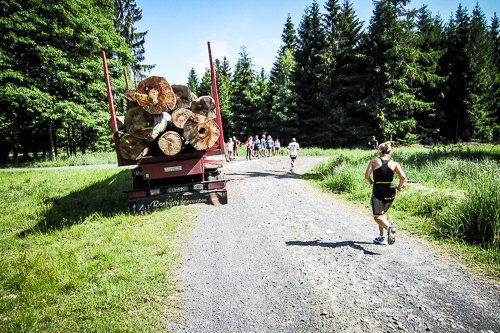 IMG_2011-06-12_Brüder Grimm Lauf 2011_500x333x_027_IMG_1374