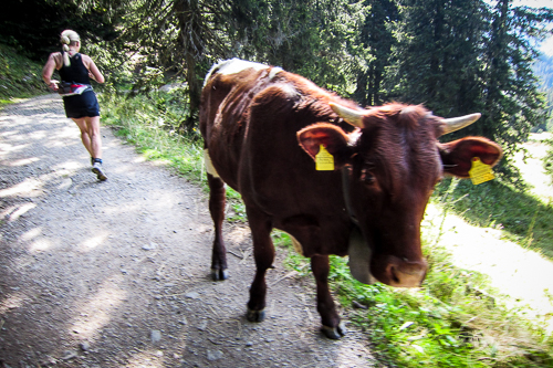 IMG_2011-08-21_Allgäu Panorama Marathon 2011_500x333_022_IMG_5115