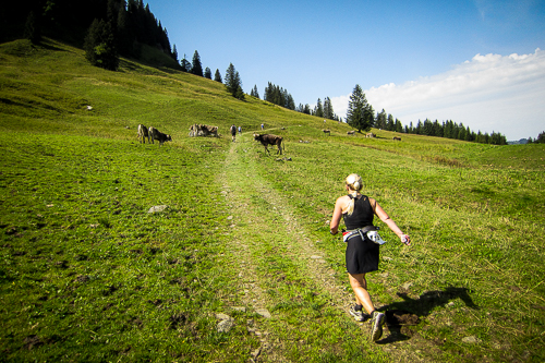 IMG_2011-08-21_Allgäu Panorama Marathon 2011_500x333_024_IMG_5134