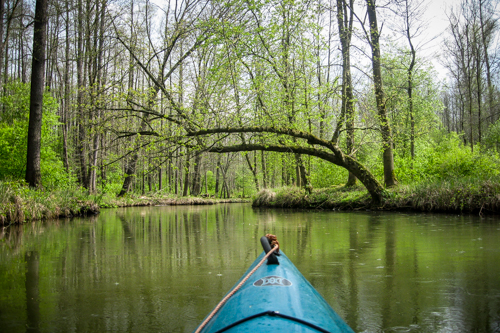 IMG_2012-04-22_Spreewald Marathon_500x333_028_IMG_6100