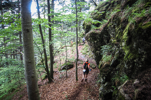 IMG_2012-05-13_Black Forest Trailrun Masters 2012_500x333_015_IMG_2050
