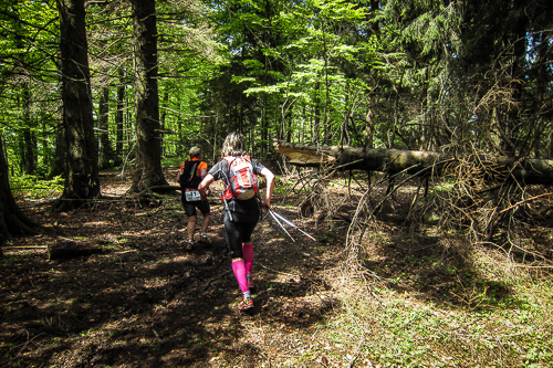 IMG_2012-05-13_Black Forest Trailrun Masters 2012_500x333_016_IMG_2148