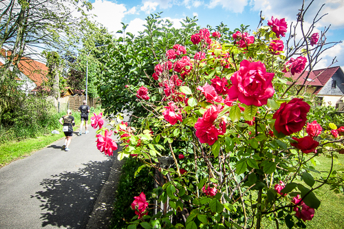 IMG_2012-06-10_Brüder Grimm Lauf 2012_500x333_018_IMG_2630