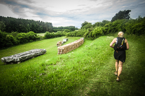 IMG_2012-06-17_Frankenweg-Lauf 2012_500x333_022_IMG_3539
