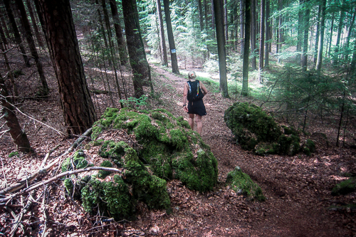 IMG_2012-06-17_Frankenweg-Lauf 2012_500x333_023_IMG_3571
