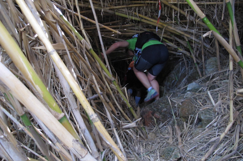 IMG_2013-04-06_Hellfire Gozo Ultra Trail _500x333_019_IMG_7774