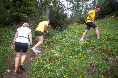 IMG_2014-06-14_Alpin Marathon Liechtenstein 2014_500x333_027_IMG_5100