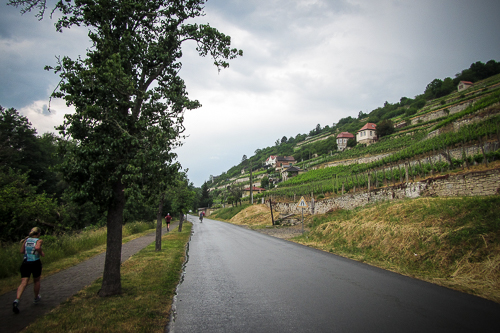 IMG_2015-06-13_Himmelswegelauf 2015_500x333_005_IMG_4017