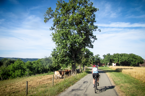 IMG_2015-06-25_Bodensee Megathlon Radolfzell_500x333_017_IMG_4537