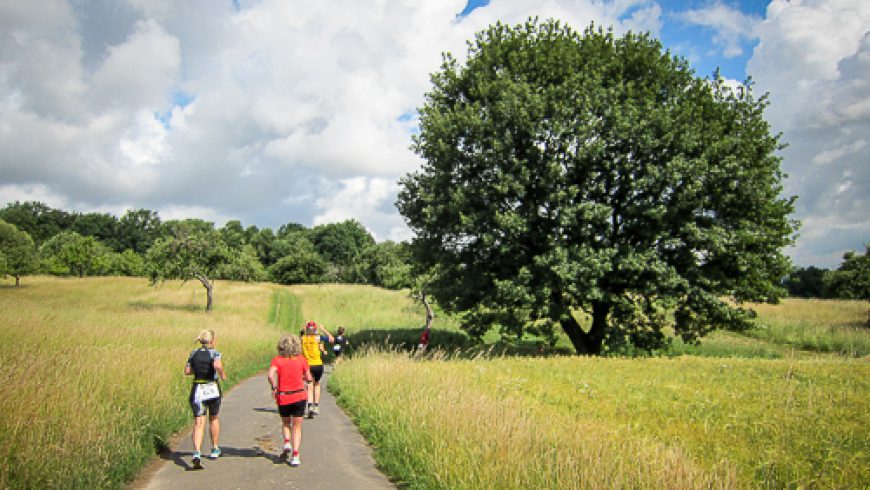 Brüder Grimm Lauf 2011