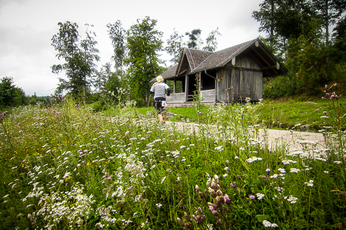 IMG_2011-07-24_Hornisgrinde Marathon_500x333_001_IMG_4704