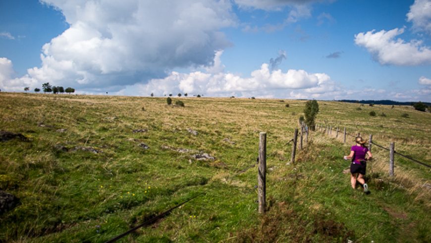 Rhön – Rotes Moor 2017